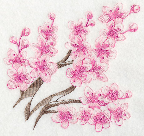 Cherry Blossom Beauty 3