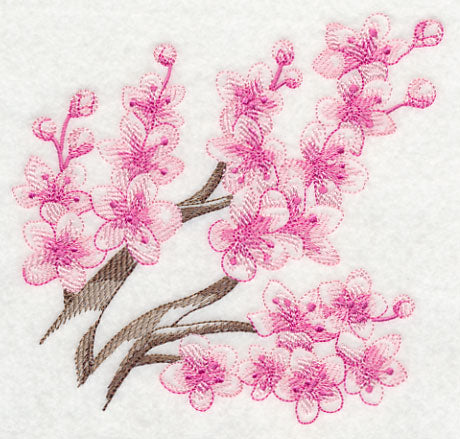 Cherry Blossom Beauty 3