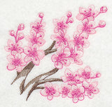 Cherry Blossom Beauty 3