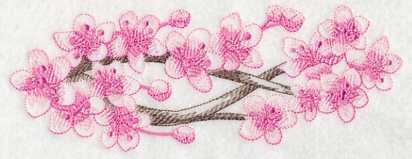 Cherry Blossom Beauty Border