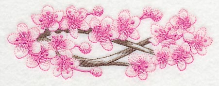 Cherry Blossom Beauty Border