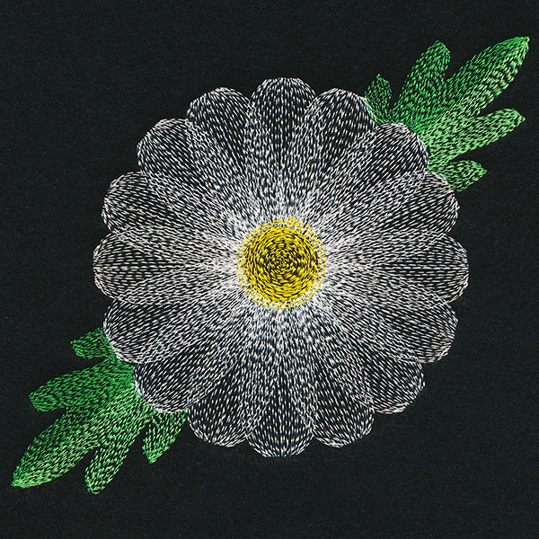 Blooming Garden Daisy