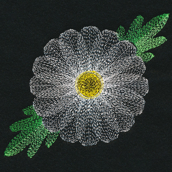 Blooming Garden Daisy