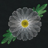 Blooming Garden Daisy