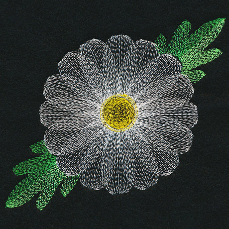 Blooming Garden Daisy