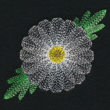 Blooming Garden Daisy