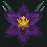 Blooming Garden Crocus