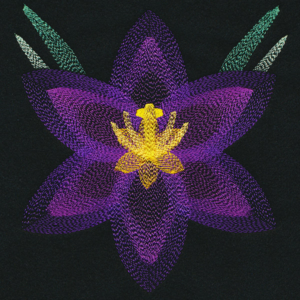 Blooming Garden Crocus