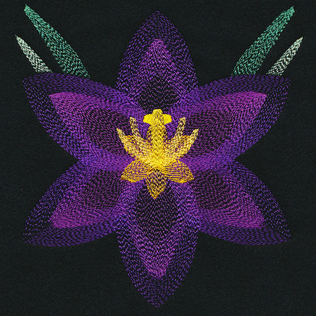 Blooming Garden Crocus