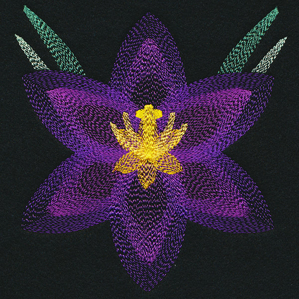 Blooming Garden Crocus