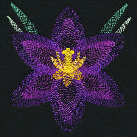 Blooming Garden Crocus