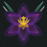 Blooming Garden Crocus