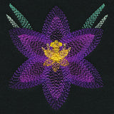 Blooming Garden Crocus