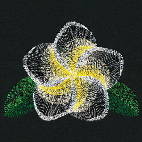 Blooming Garden Frangipani