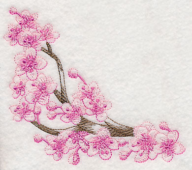 Cherry Blossom Beauty Corner