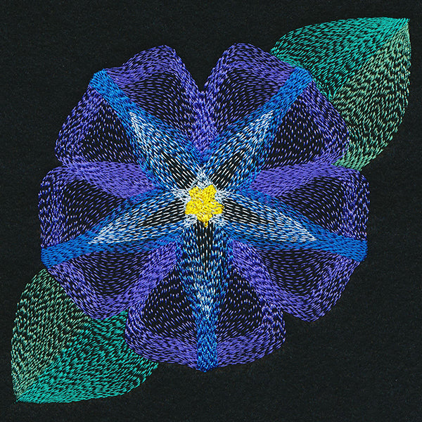 Blooming Garden Morning Glory