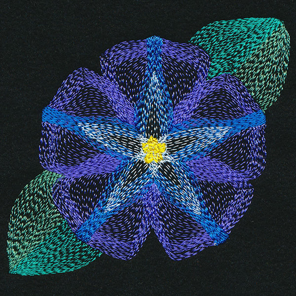 Blooming Garden Morning Glory