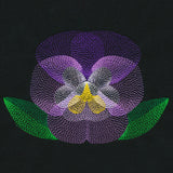 Blooming Garden Pansy