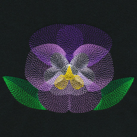 Blooming Garden Pansy