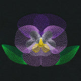 Blooming Garden Pansy