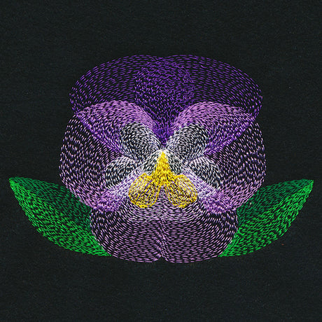 Blooming Garden Pansy