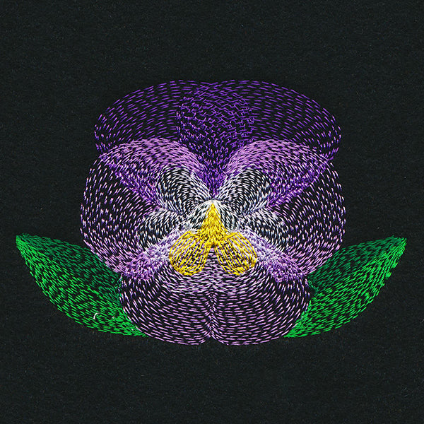 Blooming Garden Pansy