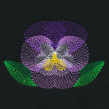 Blooming Garden Pansy