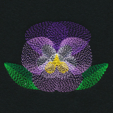 Blooming Garden Pansy