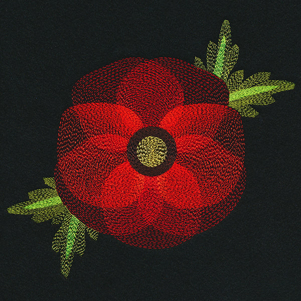 Blooming Garden Poppy