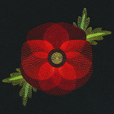 Blooming Garden Poppy