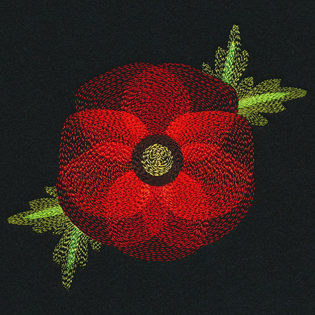 Blooming Garden Poppy