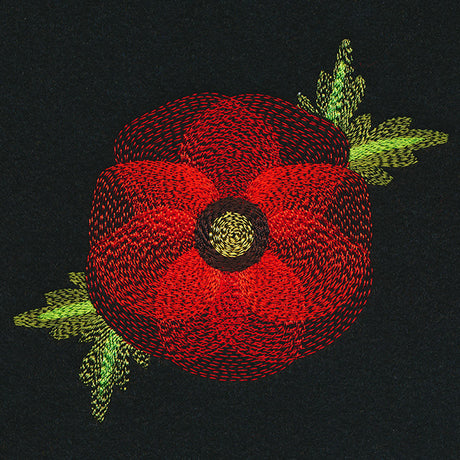 Blooming Garden Poppy