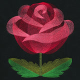 Blooming Garden Rose