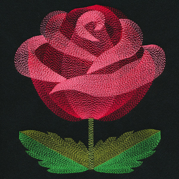 Blooming Garden Rose