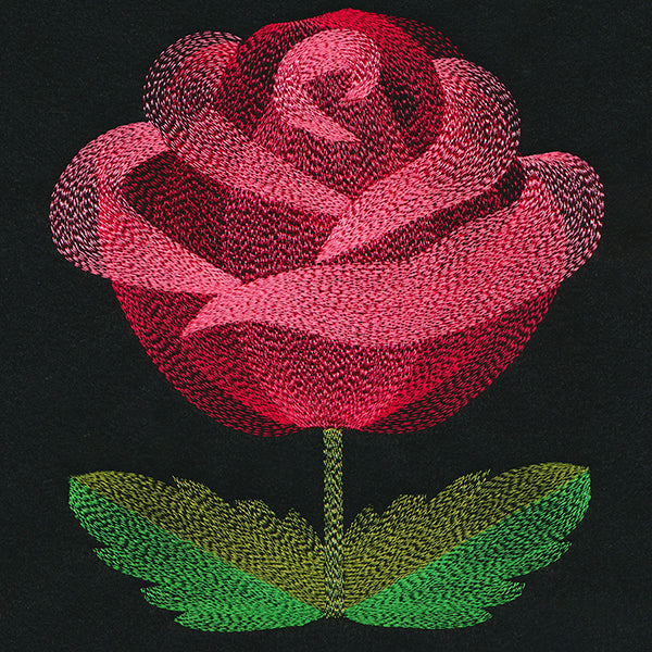 Blooming Garden Rose