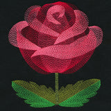 Blooming Garden Rose