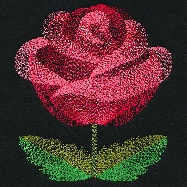 Blooming Garden Rose