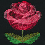 Blooming Garden Rose