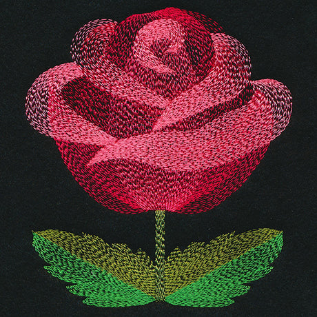 Blooming Garden Rose