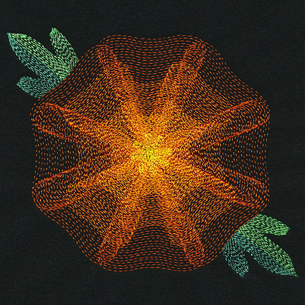 Blooming Garden Marigold