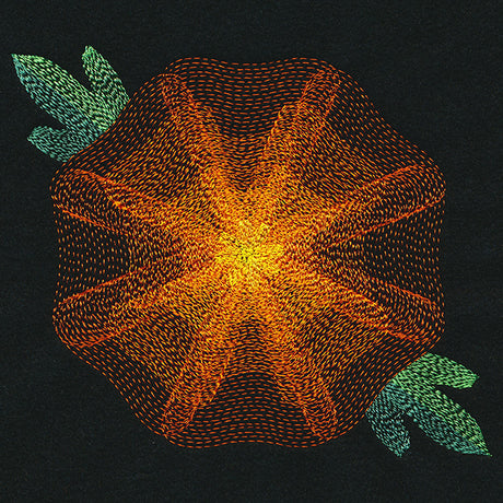 Blooming Garden Marigold