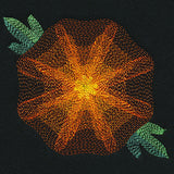 Blooming Garden Marigold