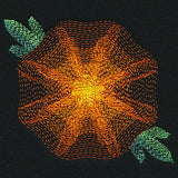 Blooming Garden Marigold