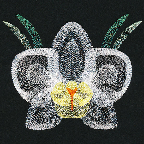 Blooming Garden Orchid