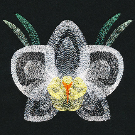 Blooming Garden Orchid