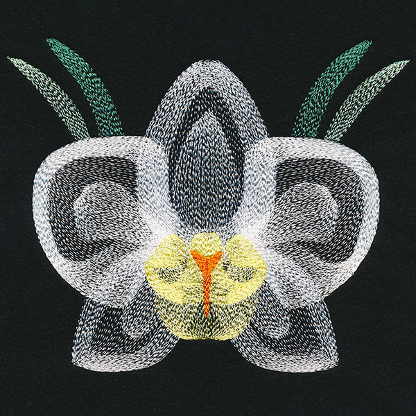 Blooming Garden Orchid