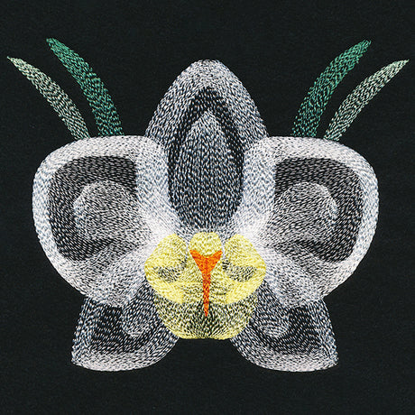 Blooming Garden Orchid