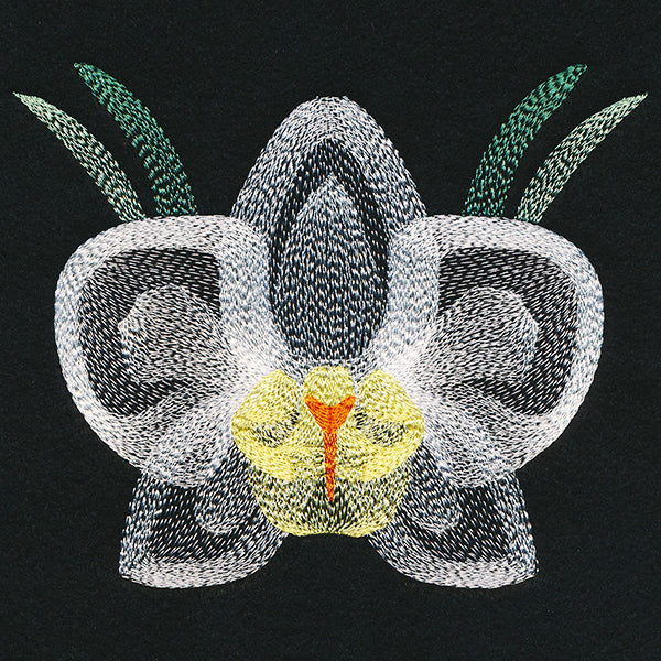 Blooming Garden Orchid