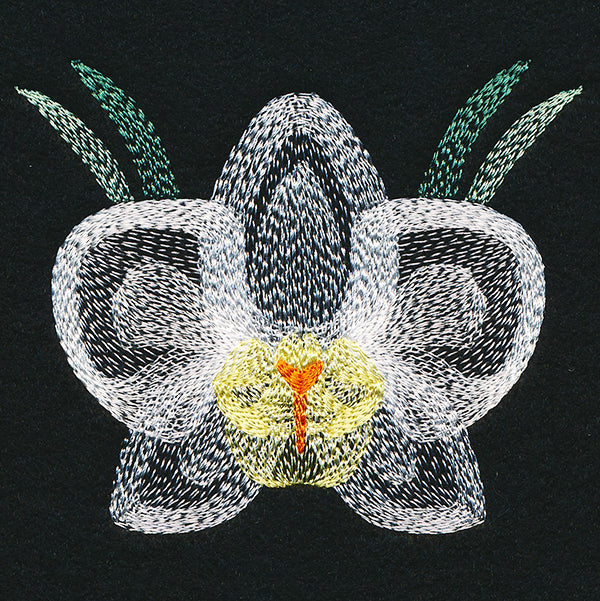 Blooming Garden Orchid