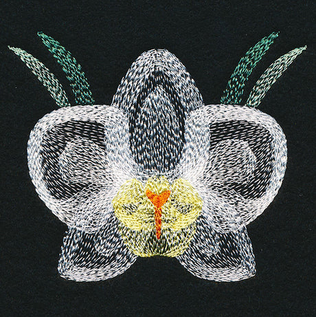 Blooming Garden Orchid